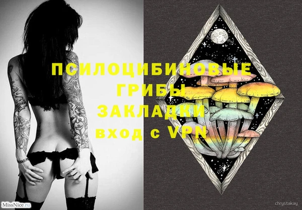 ECSTASY Зеленокумск